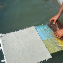 Trimming and Washing